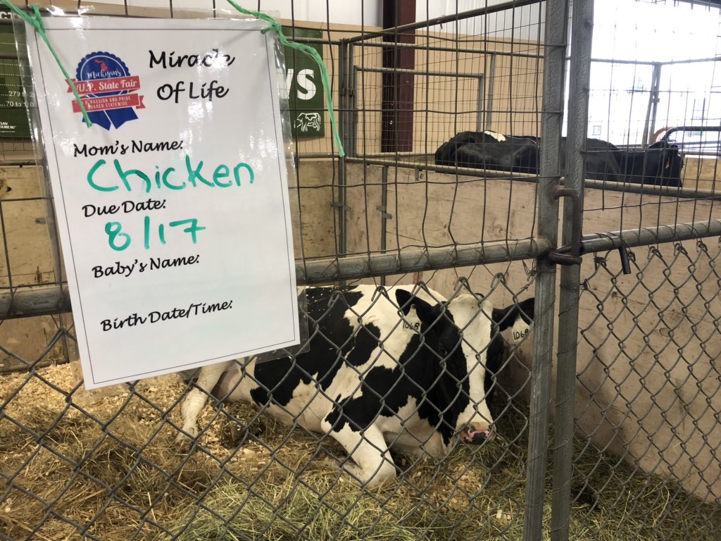 tymydiscovering's tweet photo. Eat more chicken? @ChickfilA #upstatefair https://t.co/jyKWbgIKvo