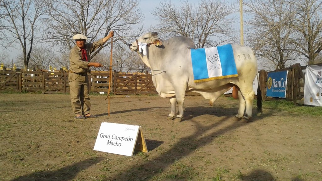 Sociedad Rural Ctes. tweet media