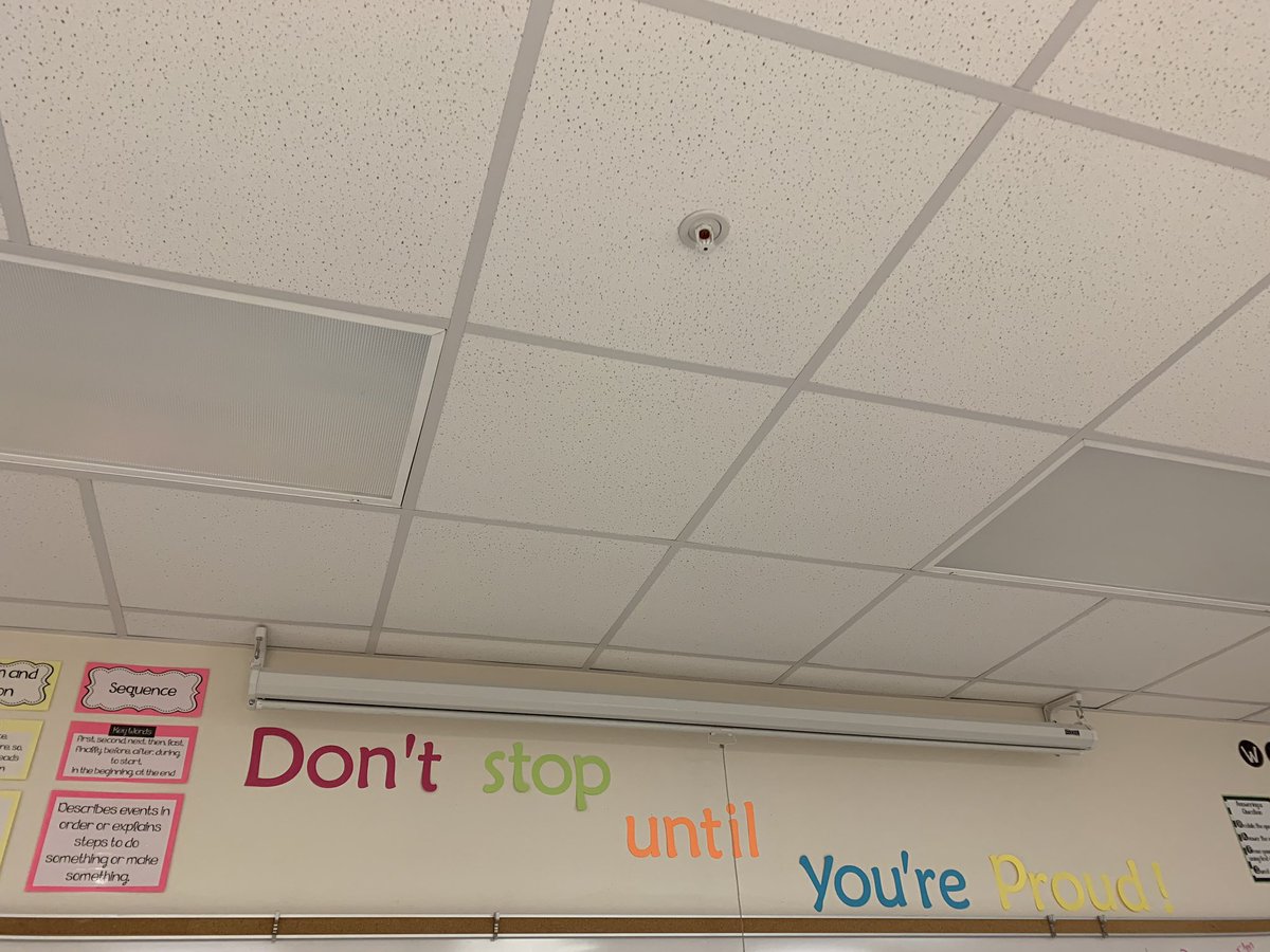 Chrissy Demaris tweet media