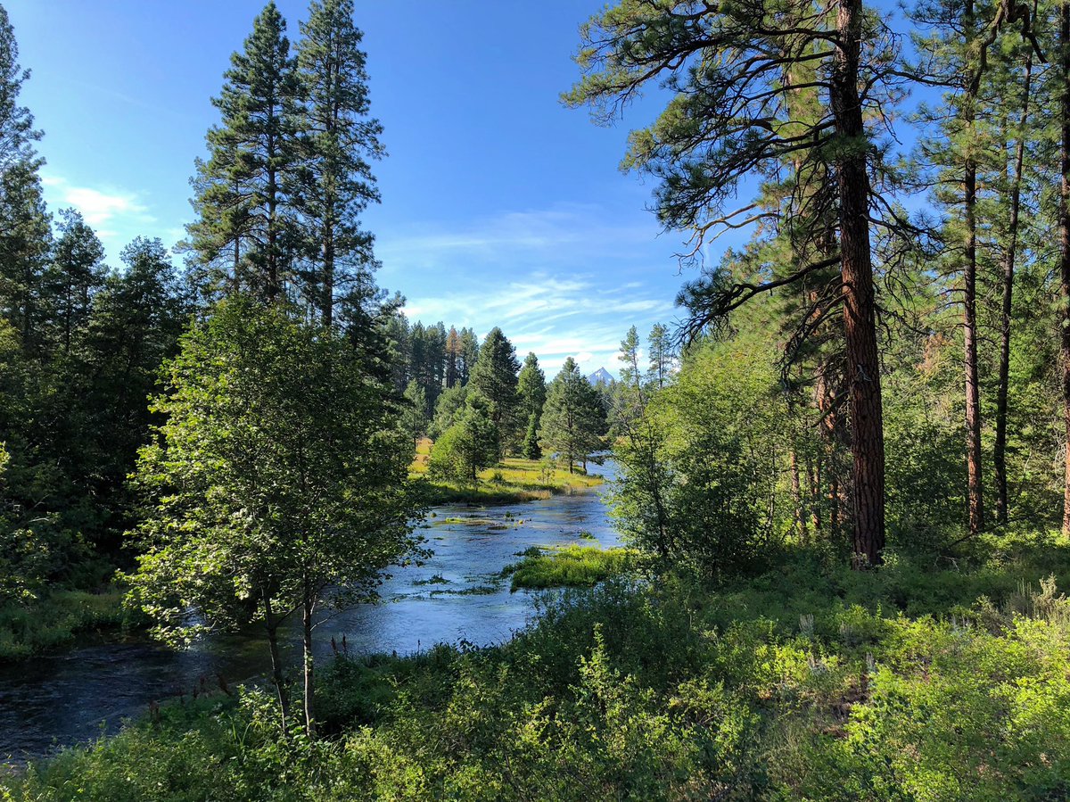 CodyClark_Music's tweet photo. Had a great time hanging out in central Oregon this week! I’ll be in Walla Walla for a few days before heading back to Nashville. https://t.co/f4fL7Ipguh