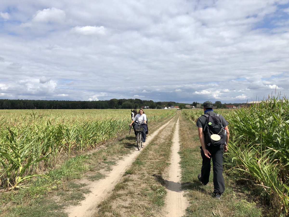thomas2508's tweet photo. ❤️Ein geiler Tag❤️
#GermanTrail #Tag14 #47km https://t.co/a7YynAmVS4