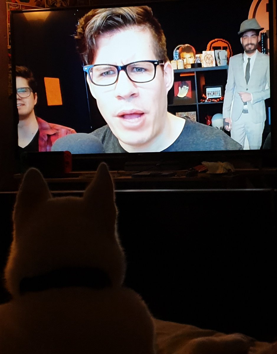KatSlyper's tweet photo. Winter always loves a bit of @FunhausTeam and she always perks up when @SirLarr is on ❤ https://t.co/Otaa9yRAxA