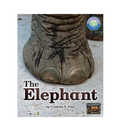 RachaelMP1's tweet photo. The kiddos are loving the Shared Reading selections from F & P Classroom. After reading ‘Monster ABCs and ‘The Elephant’ one first grader said, “Man, these are some good authors!” She’s not wrong! @abetterfairview @FountasPinnell #werreaders https://t.co/YvqVnH395H
