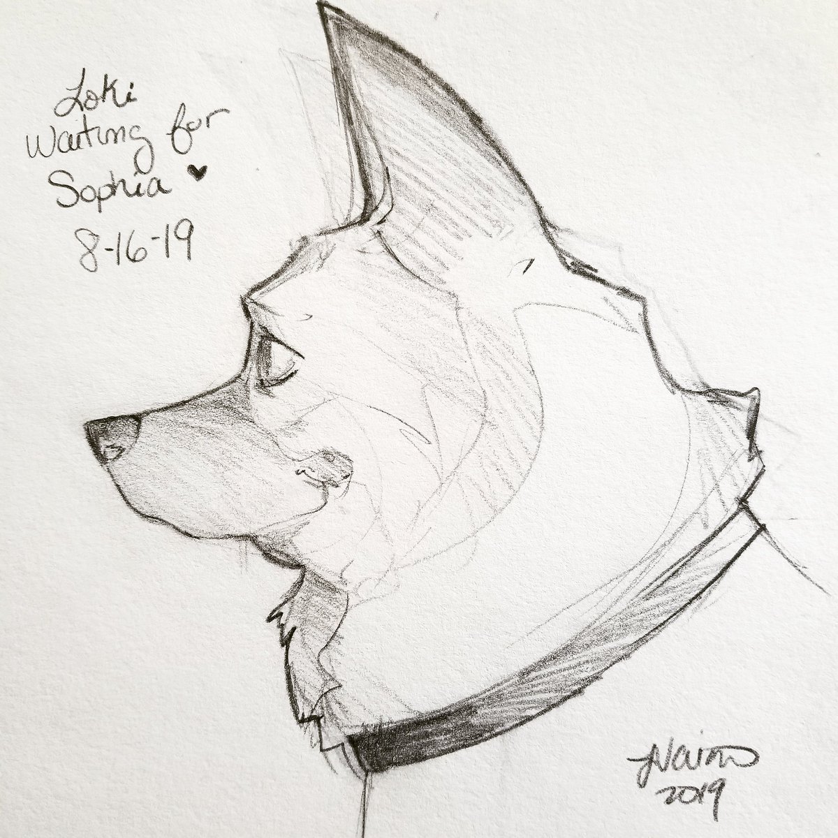 NoFlutter's tweet image. Quick sketch while we waited for the school bus to arrive loool Loki just stares out the window patiently with this puppy grin hahahahaha 🤣