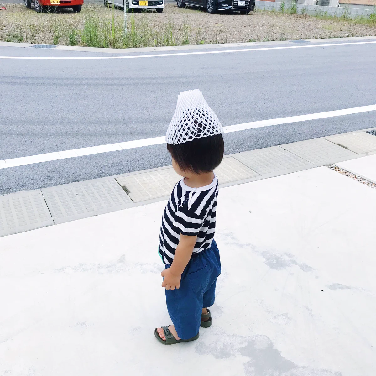 ふざけて被せたら気に入ってしまった・・・果物のあれ・・・!!!!!!なんともかわいい( ´∀｀ )