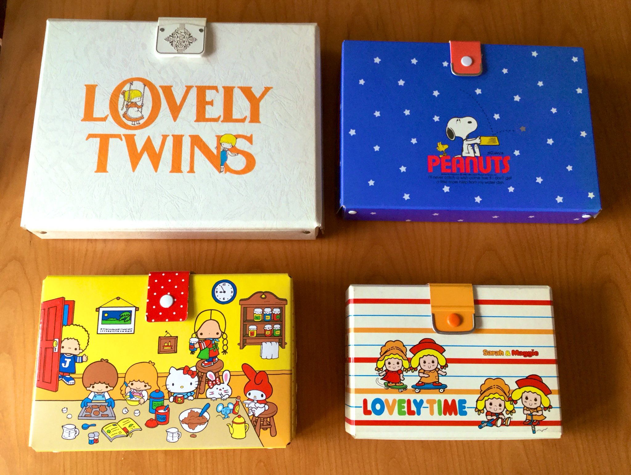 超レア‼️マルマン・グルービーケース・マイアミドルフィンズ