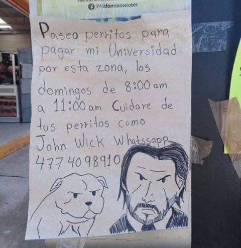 Ojalá puedan ayudar dándole RT 🐶

🙌🏽 Entre todos podemos ayudar 🙌🏽
