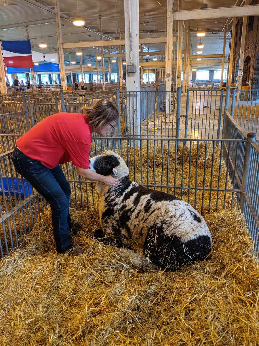 JenSchweigert's tweet photo. I had a unique opportunity to meet Snoop Bob. @scoopermomma would neither confirm nor deny an alleged rumor regarding Snoop Bob making a surprise guest appearance w/ @SnoopDogg later on the Grand Stand. #isf19 @ILStateFair https://t.co/wPBEyJO7vo