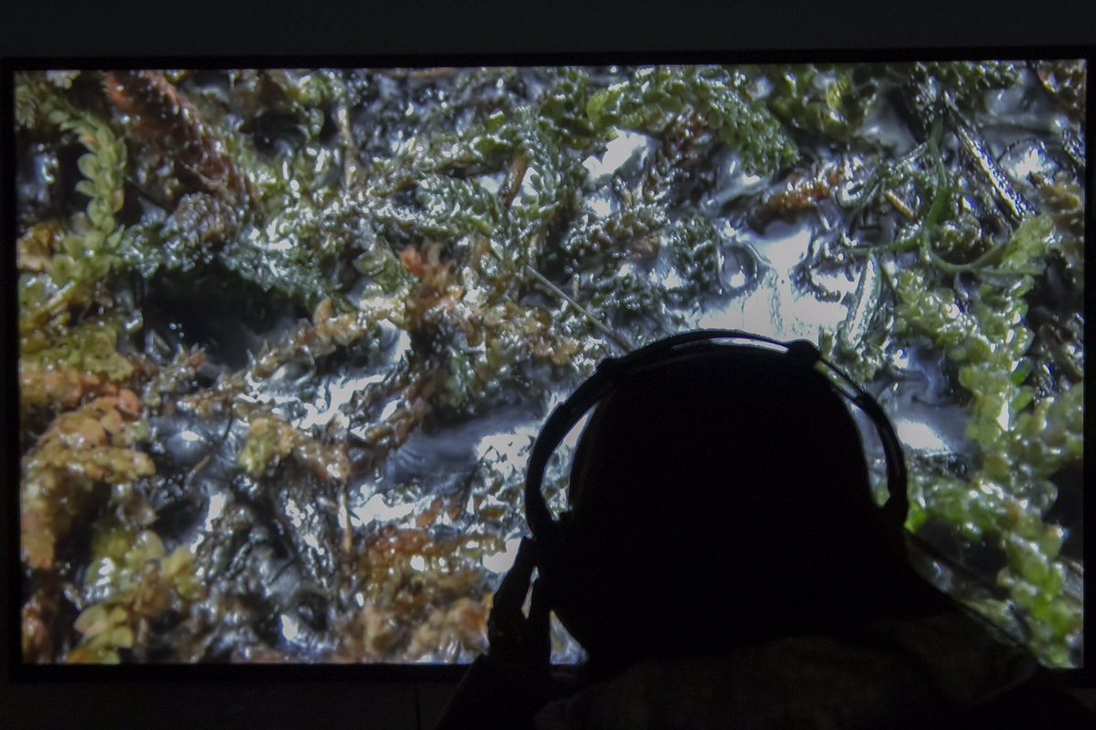 libertadpalacio's tweet photo. En la exposición #Infinitud, doce artistas de diferentes nacionalidades con obras pertenecientes a la colección Es Baluard (Palma de Mallorca, España) reflexionan en torno al paisaje, https://t.co/SdeqIGn1jC