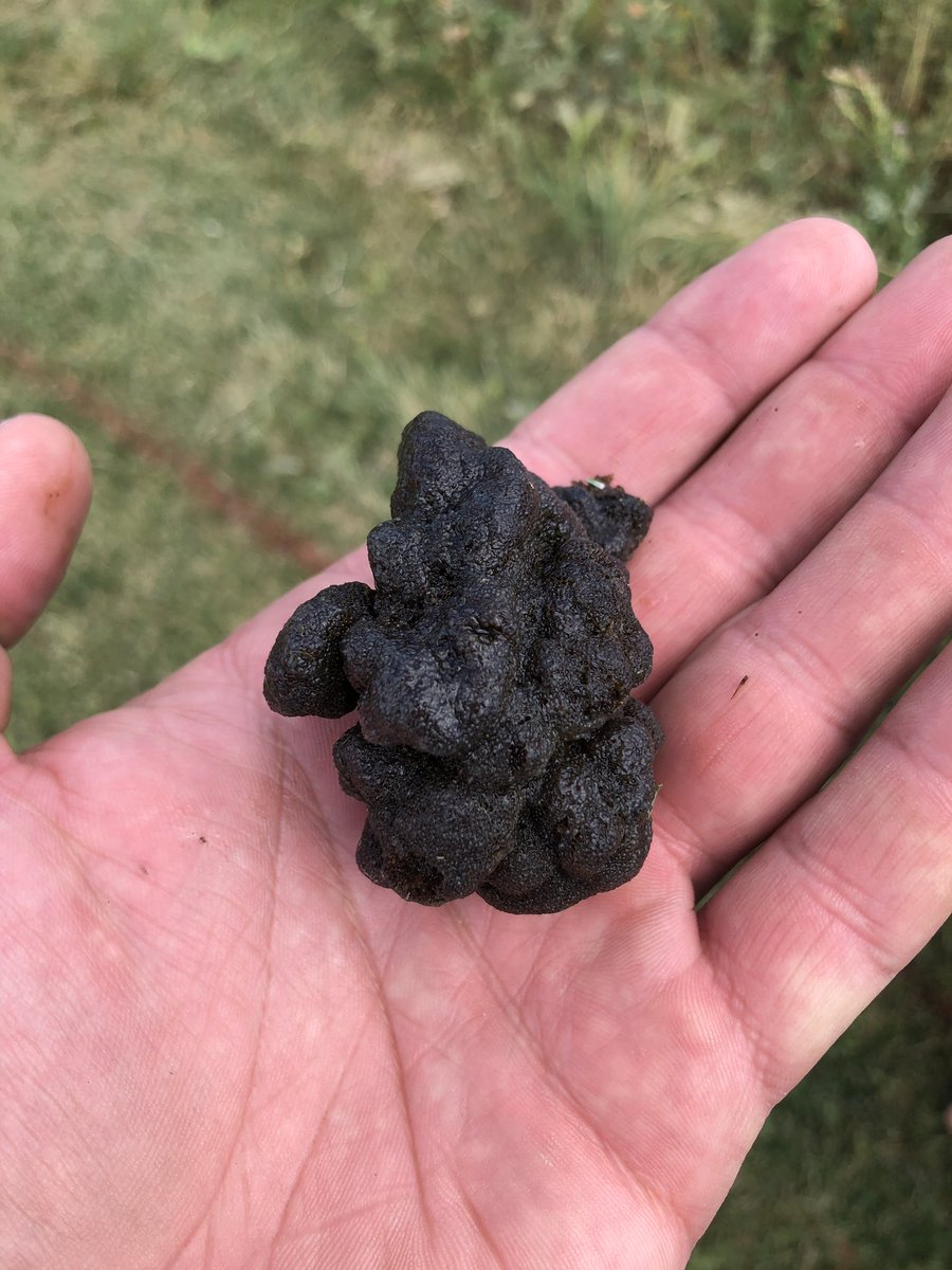 CubbieKK's tweet photo. Low pressure alarms finally solved. Diver went in and found intake covered in sponge. #notpoop https://t.co/VFBK0ZOD8O