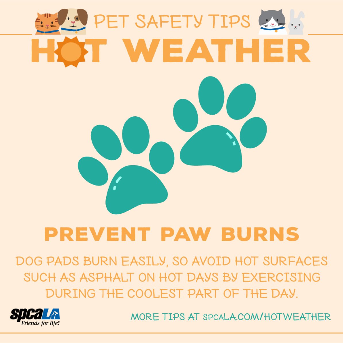 casciencecenter's tweet photo. 🐶 Pet Safety Tip #5: Prevent paw burns ☀️🔥⁣
⁣More tips at @spcaLA, and don't forget to visit the California Science Center's new special exhibition Dogs! A Science Tail at https://t.co/NlcoIfPZ6W.⁣⁣⁣⁣⁣⁣⁣⁣⁣⁣⁣⁣⁣
⁣⁣⁣⁣#DogsAScienceTail #SniffOuttheScience https://t.co/tHSZockMcq