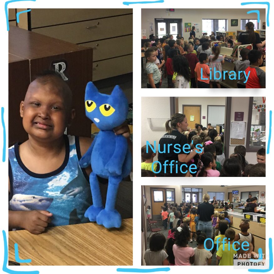 kinder_ph's tweet photo. Have you seen Pete the Cat?! He is our favorite storytime character and he went running all over school today! Better keep on eye on that silly cat Kindergarten! @DVUSD @PaseoRattlers @JenArrieta8 @PrincipalJHood @kinder_ph @DrFinchDVUSD #ShineOnPaseo https://t.co/QT9rvrxvhO