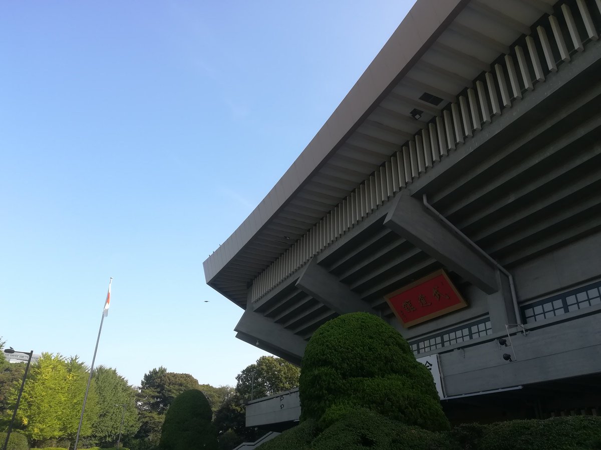 Itt Yang（ｲｯﾁｬﾝ） tweet media