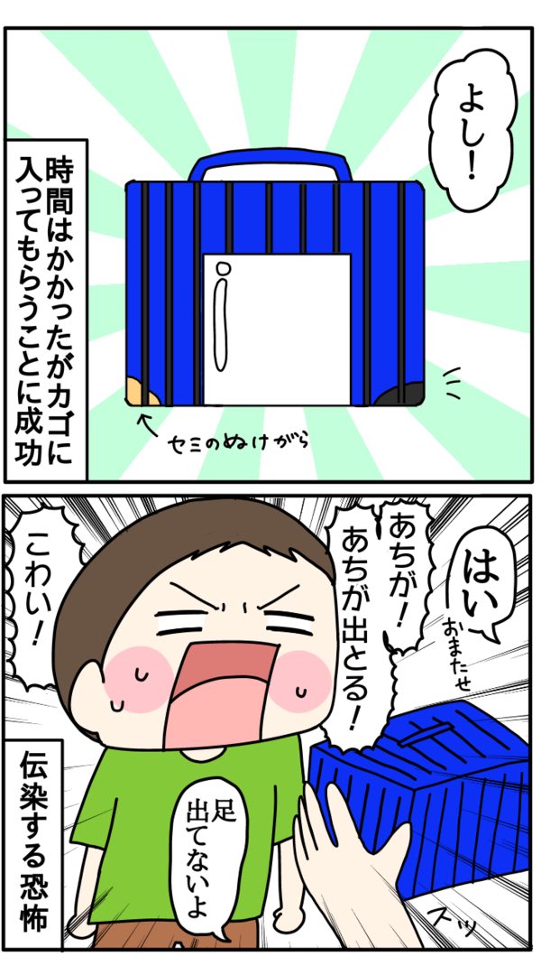 森で遊んだ話②～虫とり編～
https://t.co/urYP2PdHp4
虫とりはとった後からが戦い…! 
