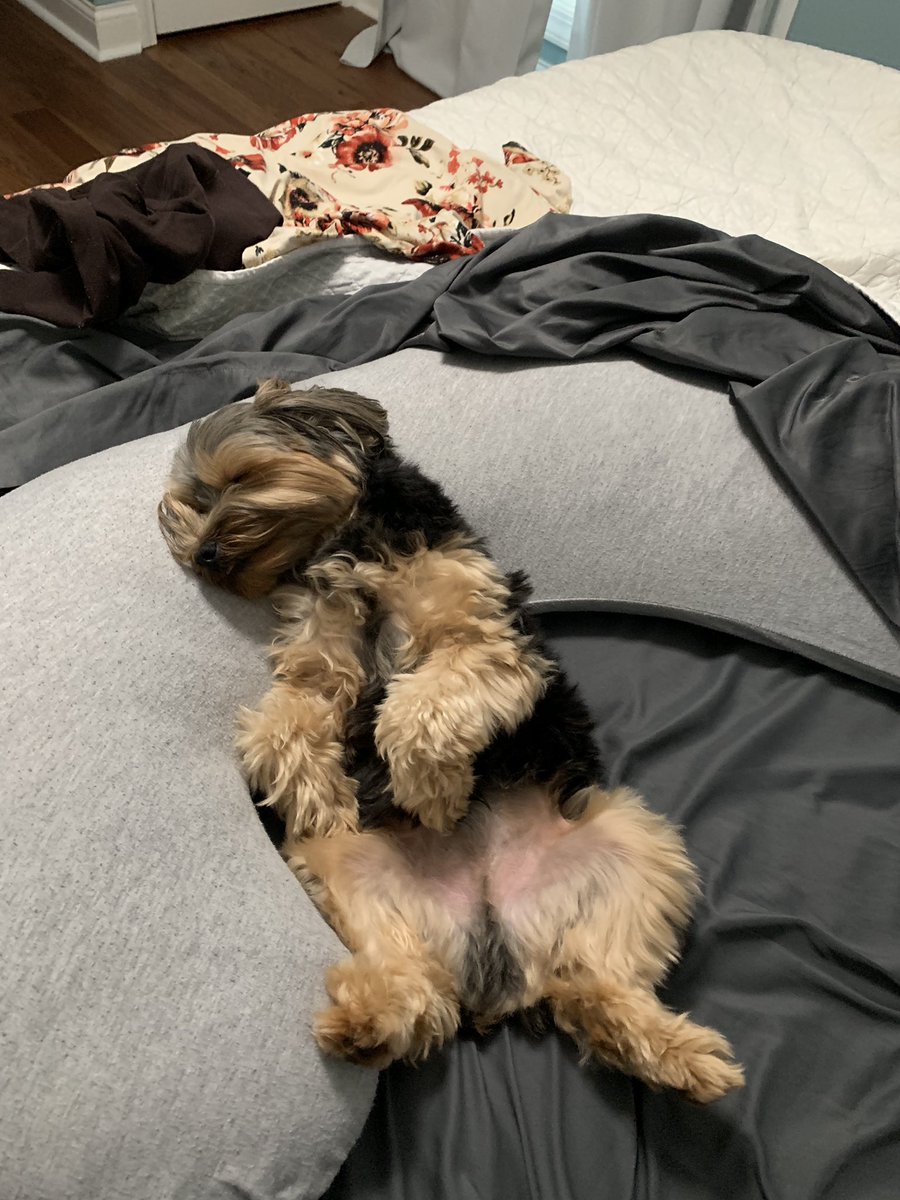 RemingtonMoe's tweet photo. I think I’ll just lay here for a minute.... https://t.co/3qgQWMJAqs