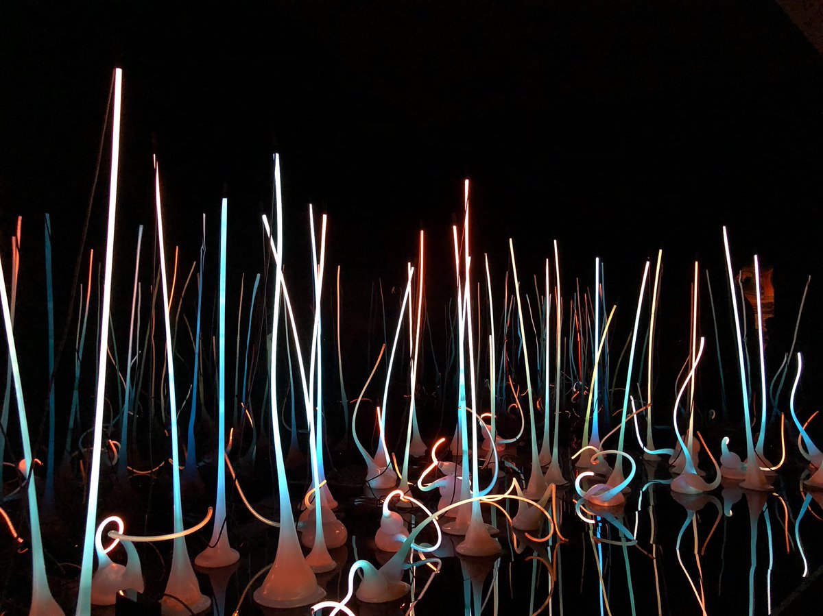 kingchiru15's tweet photo. โGlass Forestโ by Dale Chihuly!
.
.
.
.
#glassart #contemporaryart #artificialseaworld #chihulygardenandglass #seattle #seattlediaries #seattleartmuseum https://t.co/VNxzZ8wKPF