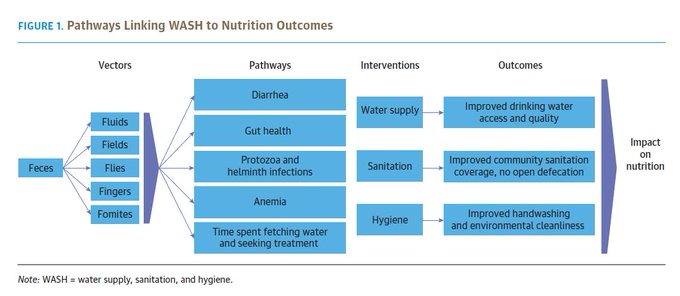 WBGPubs's tweet photo. Evidence shows that inadequate #water supply, #sanitation, and #hygiene can impact child nutritional status through five key pathways. Read more in this World Bank document  https://t.co/p84R3vPrOz https://t.co/kkaBVEDQZl
