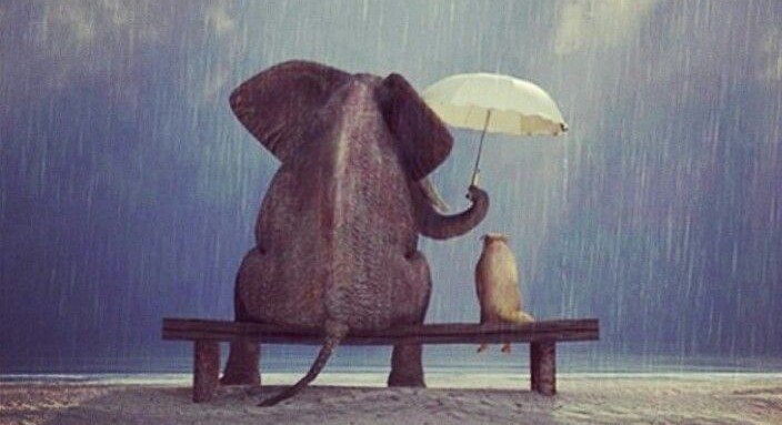 JoAnnFrancis9's tweet photo. I believe in the magic of kindness. https://t.co/Um1V96YY75