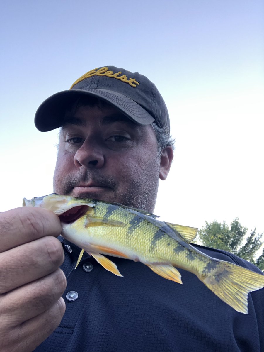 FishingFo's tweet photo. Day 84. Musky still being Musky, perch will have to work. #fishstreak https://t.co/4kbI4nCdpw