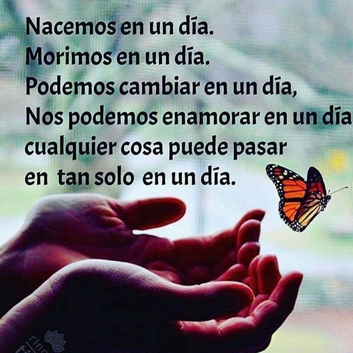 16maluz's tweet photo. Nacemos en un día.... 🦋
#FelizSabado💋 https://t.co/UDFyYolx6t