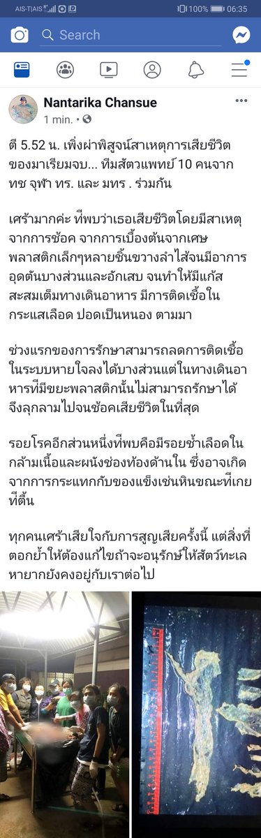 The LIGHT 光 of my LOVE 🎄💶🐥 tweet media