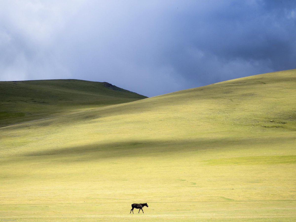 Tereddüt, fırsatlar mezarlığıdır...