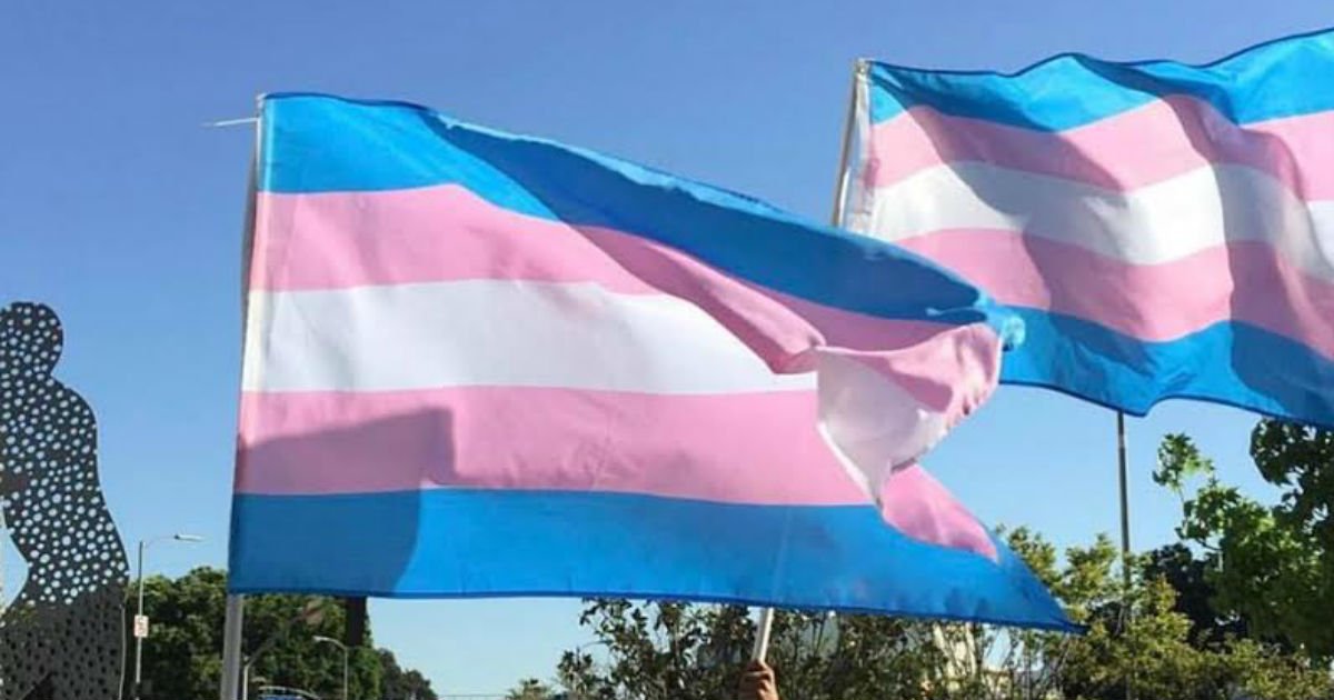 Transgender flag
