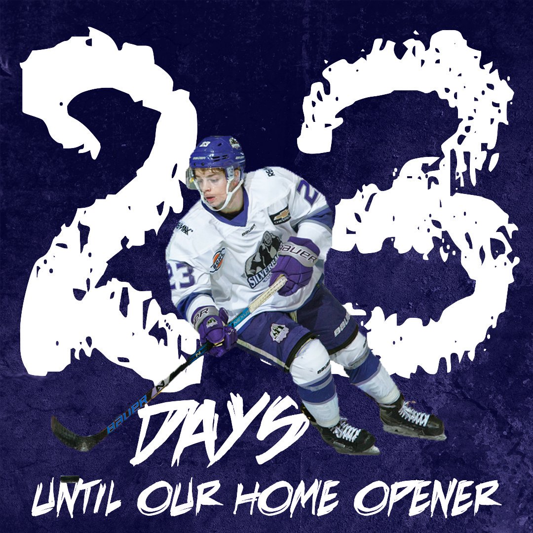 SASilverbacks's tweet image. 23 days! #BCHLCountdownContinues #IsItSeptemberYet