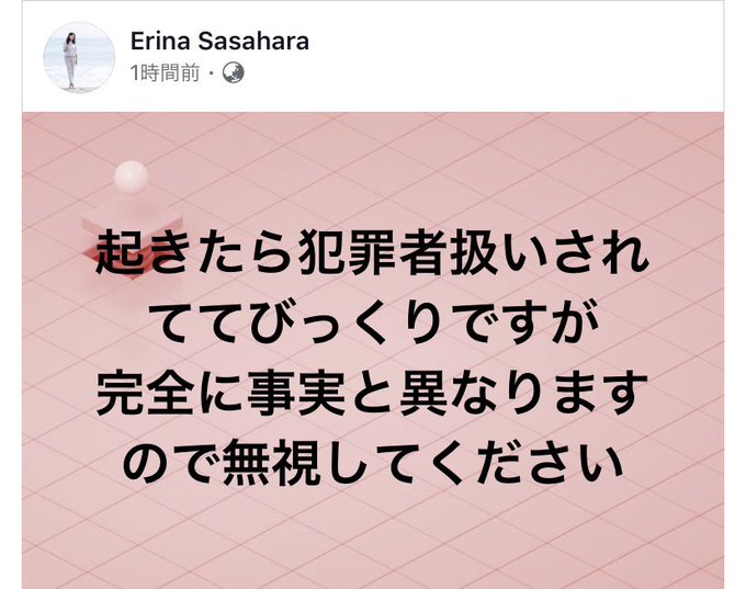煽り運転の話題 暴行事件のガラケー女 とデマ流された笹原えりなさん会社hpの声明で疑惑否定 法的措置も検討 おなやみ通信