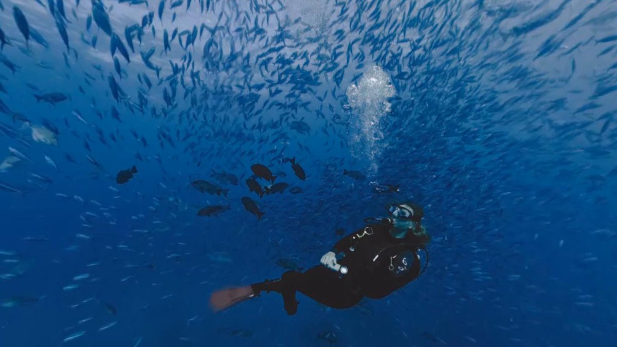 EarthxFilm's tweet photo. #FilmmakerFriday: We're featuring Marine Biologist and VR film director Erika Woolsey! She's worked with @thehydrous to give all a chance to experience the beauty and fragility of the ocean in an immersive VR experience titled Immerse, one we've screened with #EarthxInteractive! https://t.co/tsvR3SwrMZ