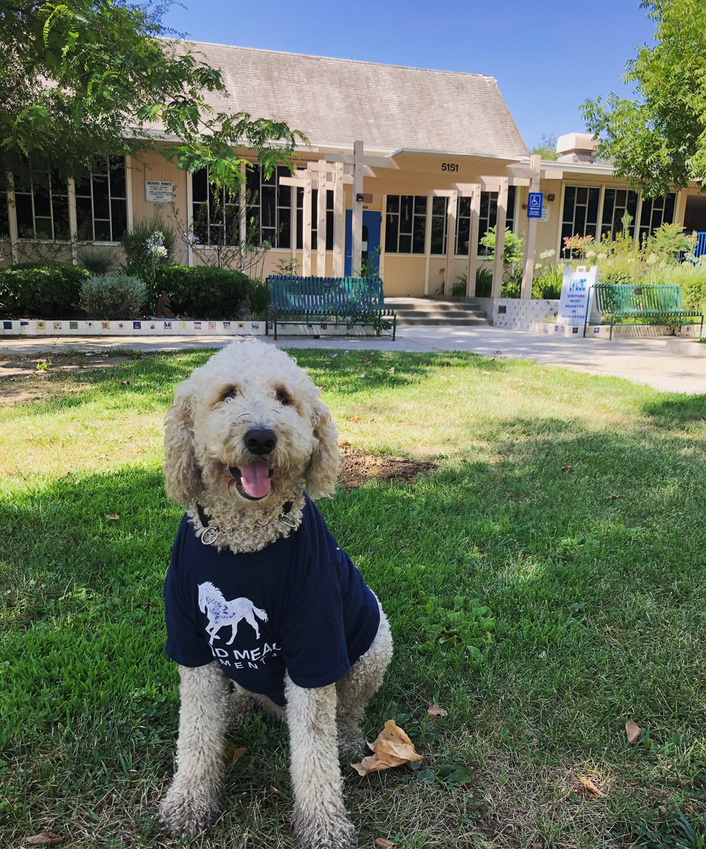 Gryff’s ready for school to start - Go Colts!! #backtoschool #LVUSD 💙🐴 <a href="/RoundMeadowElem/">Round Meadow Elem.</a>