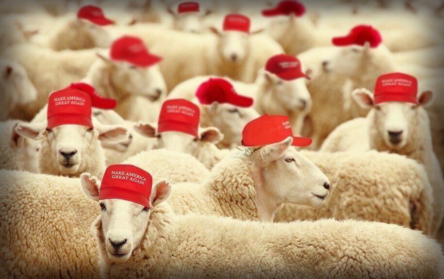 keljam7's tweet photo. @briantylercohen https://t.co/baGlikfehb