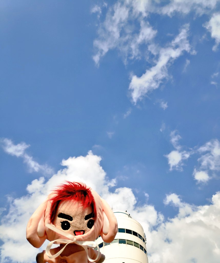uchino_mark's tweet photo. 今日も頑張ってね🐰✨ https://t.co/vSangZAsti