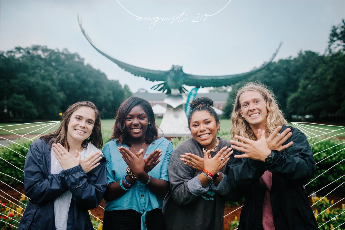 Overflow tweet media