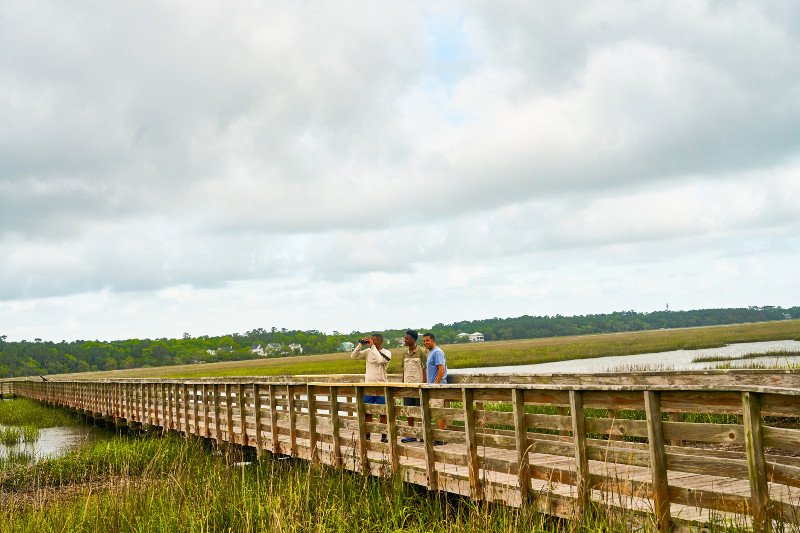 Discover_SC's tweet photo. Discover stunning mountains and towering waterfalls, scenic inland lakes and white sand beaches in South Carolina's state parks. https://t.co/aNmkMETFjn #DiscoverSC #SCStateParks https://t.co/vWrdSqZ49W