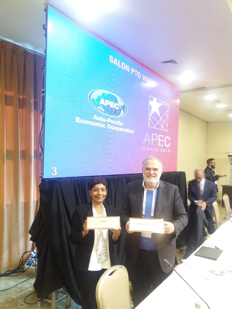 PEFC_cl's tweet photo. Hoy estuvimos en los diálogos de #APEC sobre comercio legal de productos madereros. Desde el grupo denominado #Egilat se analizan los mecanismos para regular el comercio maderero y estimular el desarrollo #sustentable en las economías de Asía - Pacífico. https://t.co/9ge7xzoFda