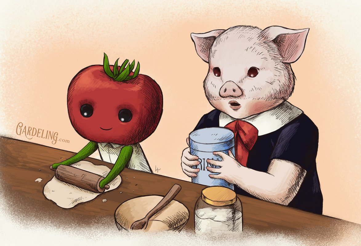 gardeling's tweet photo. Aprender a cocinar no es tarea fácil para muchos. Pero con ayuda y paciencia, no hay nada que este pequeño híbrido-chanchito no pueda lograr. - #gardeling #tomatoe #cute #pig #cooking https://t.co/V3v5gxI6XH