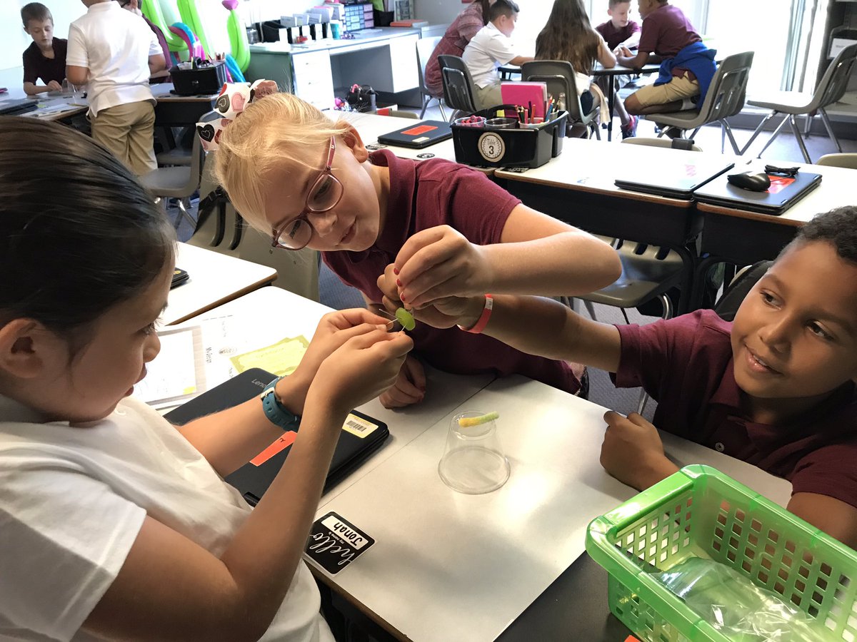 Saving Sam The Worm STEM Team Building is always a beginning of the year hit! <a href="/HCPSArea2/">HCPS Area 2</a> <a href="/SchwarzkopfElem/">Schwarzkopf Elem</a>