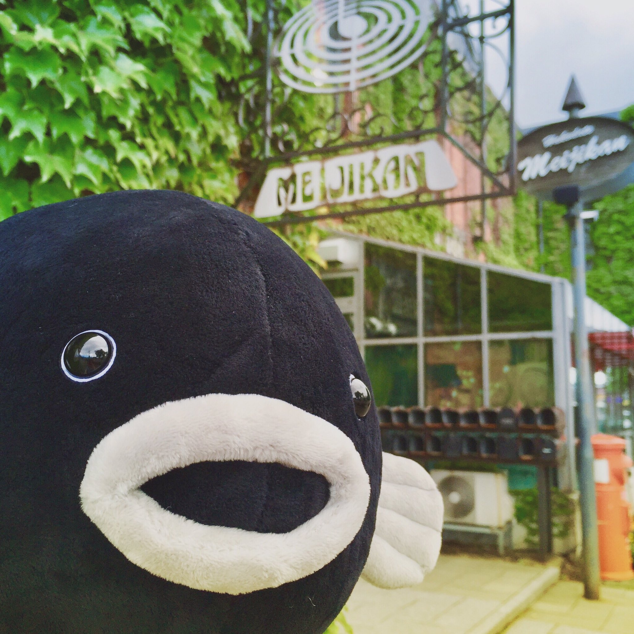 Twitter 上的 はこだて明治館 公式 おはようございますϵ 8 ごっこちゃんぬいぐるみsサイズが久しぶりに入荷しましたよ ぜひ会いに来てくださいね ϵ 8 Sだけど大きいですよ 税込1800円です ごっこちゃん 函館限定 はこだて明治館 Twitter 上的 はこだて明治館 公式 おはようございますϵ 8 ごっこちゃんぬいぐるみsサイズが久しぶりに入荷しましたよ ぜひ会いに来てくださいね ϵ 8 Sだけど大きいですよ 税込1800円です ごっこちゃん 函館限定 はこだて明治館