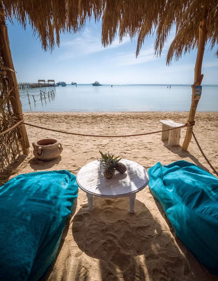 ChilChillcom's tweet image. ودي كمان في #مصر #سأدعم_سياحة_مصر #الحب_يحتاج #ام_الدنيا #الغردقة #البحر_الأحمر