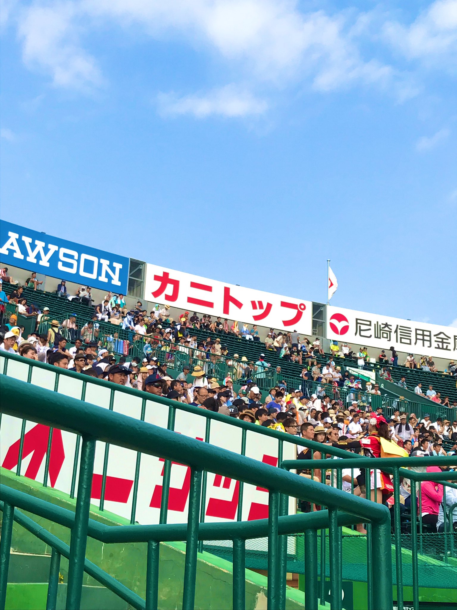 JHS カニトップ ジャパンヘルスサミット カニトップ JHS 0 2箱 キチン 