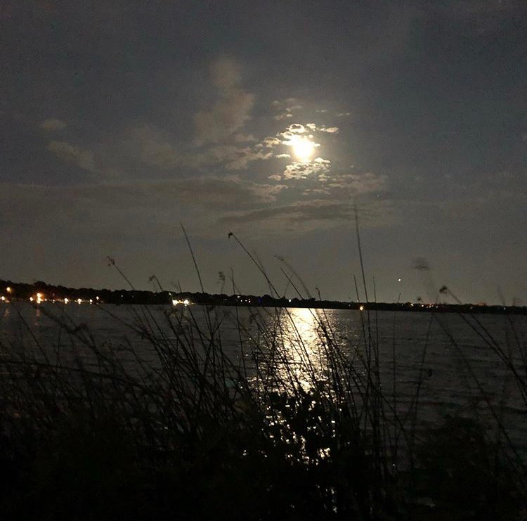 whiterockdallas's tweet photo. Summer Moon Rising at White Rock, 2019. 
REPOST: photo by @earthkitty1

#whiterocklake #Dallas #eastdallas #texastodo #summernight #moonlight #Reflect https://t.co/ZSlYBiHaZg