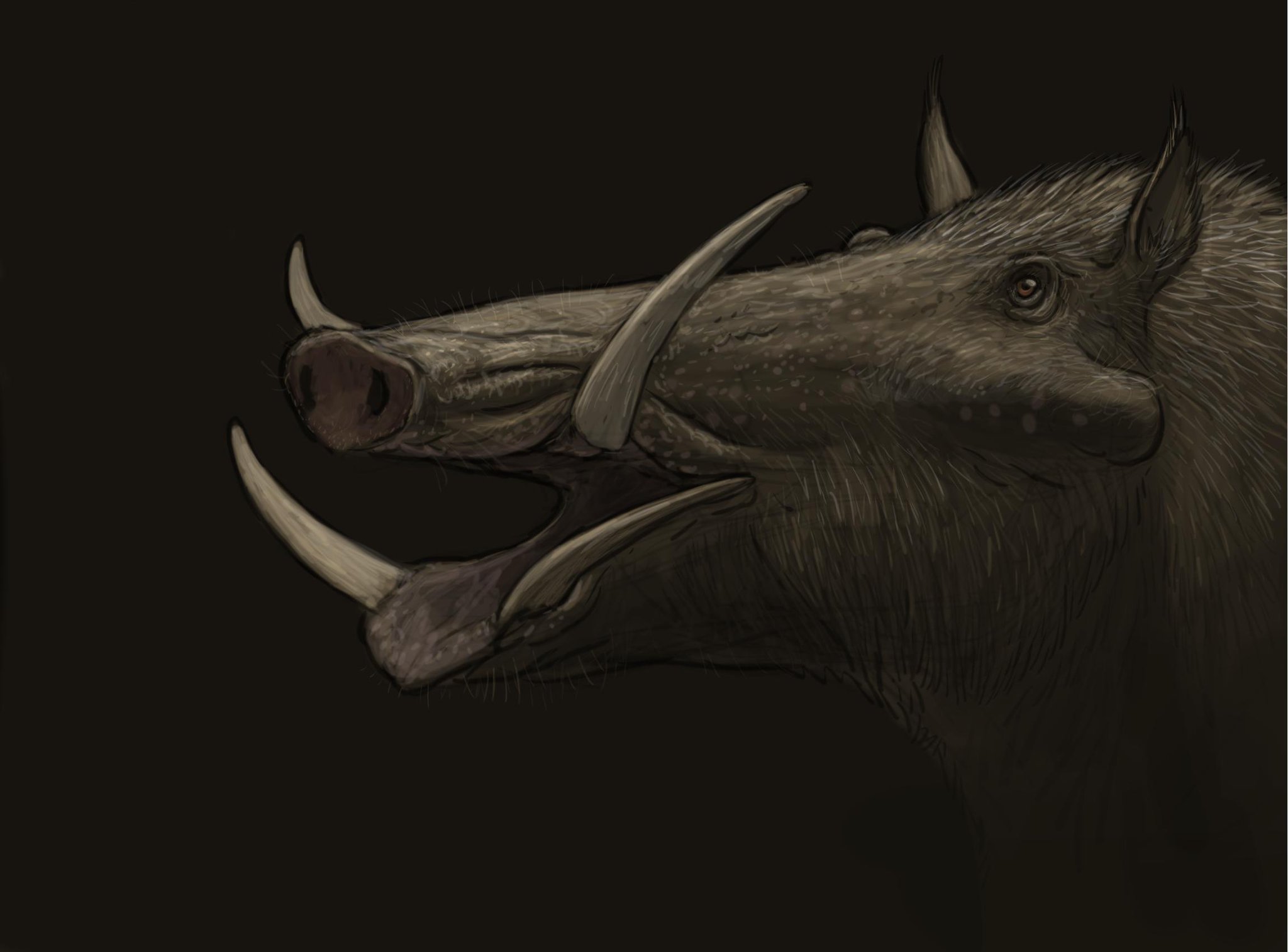 تويتر \\ Joschua Knüppe على تويتر: "Results from tonights #paleostream! ,  Metridiochoerus, Crossvallia and Australovenator. #paleoart #sciart  #animals #dinosaurs #sketching #art #penguins https://t.co/pdqiUL1Nq4"