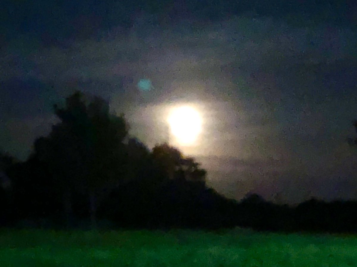 When my girl texts, “Mom, go look at the moon!!!” Of course I will-bare feet and all. She’s her mother’s child. 🌕 #AmazingMoon