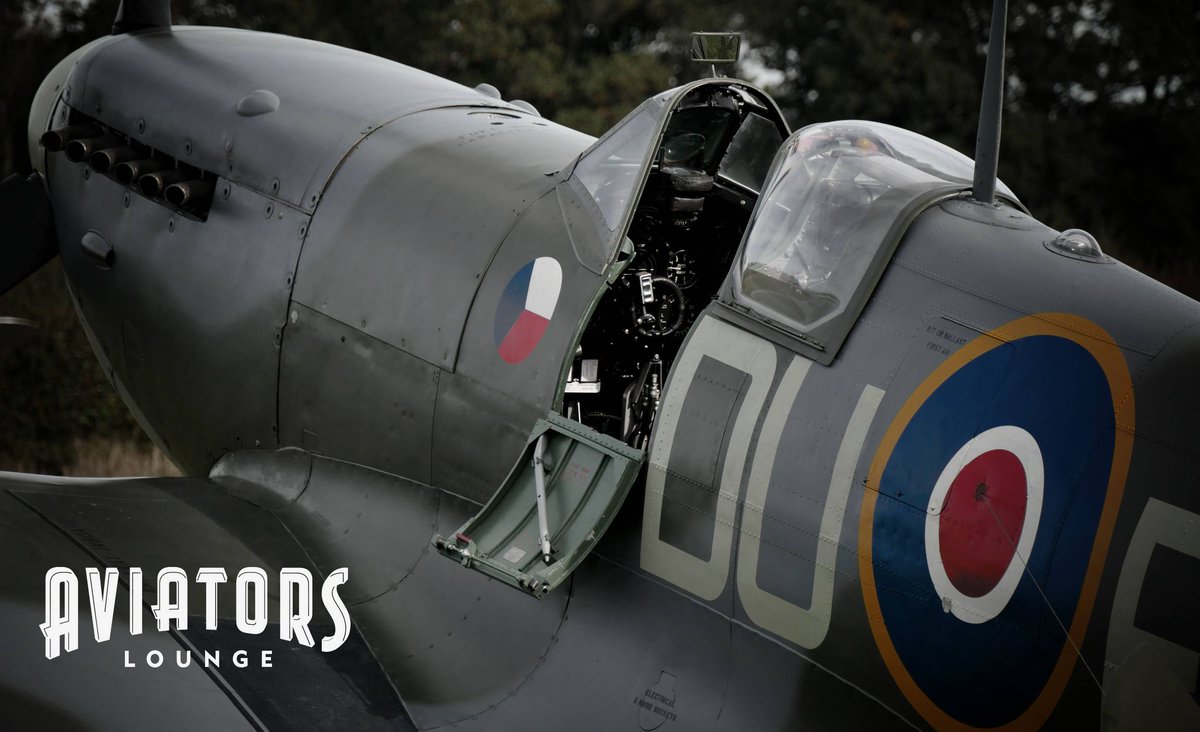 Aviators Lounge tweet media