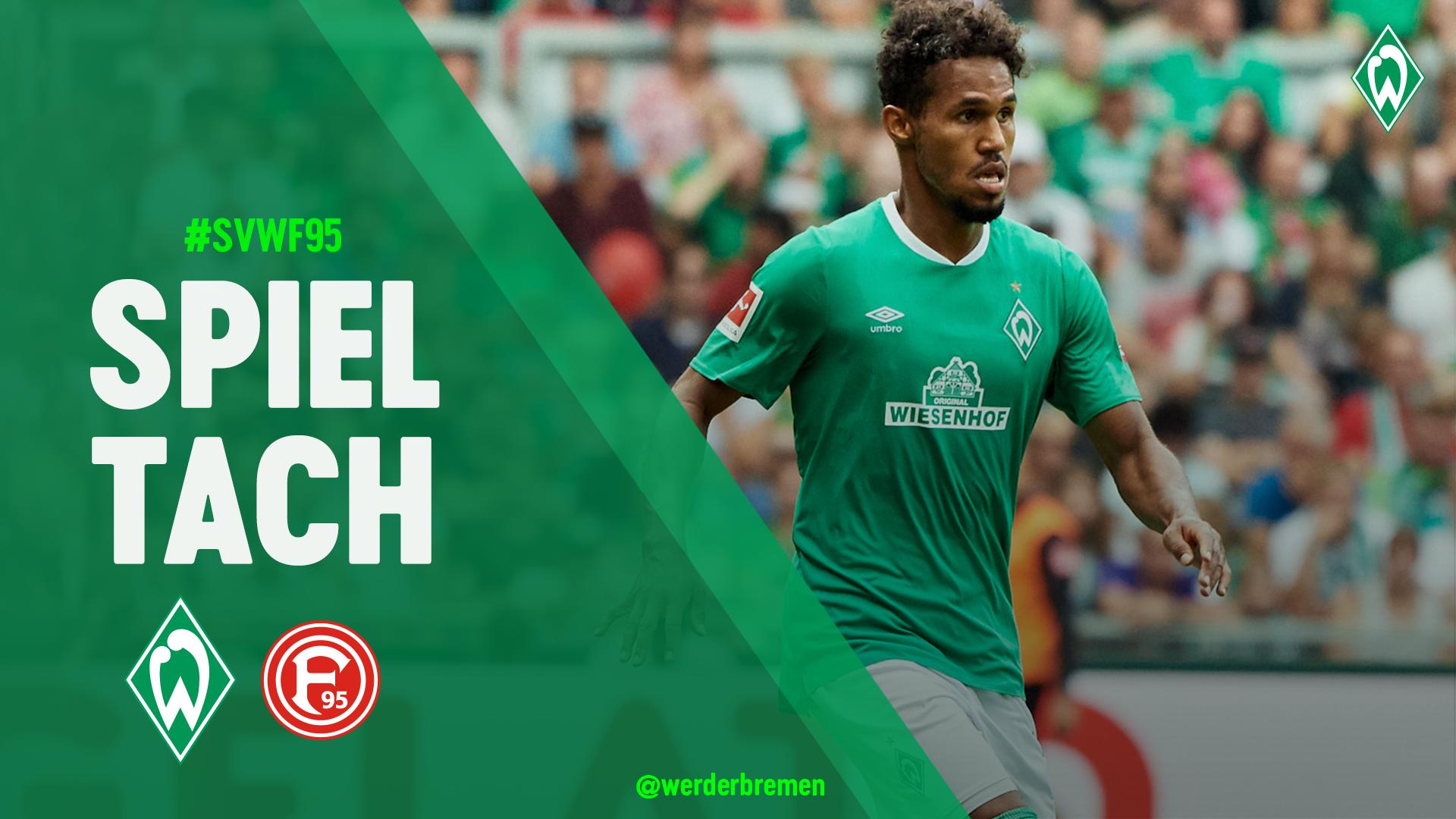 ECJ1e8kXkAARZcN.jpg:large