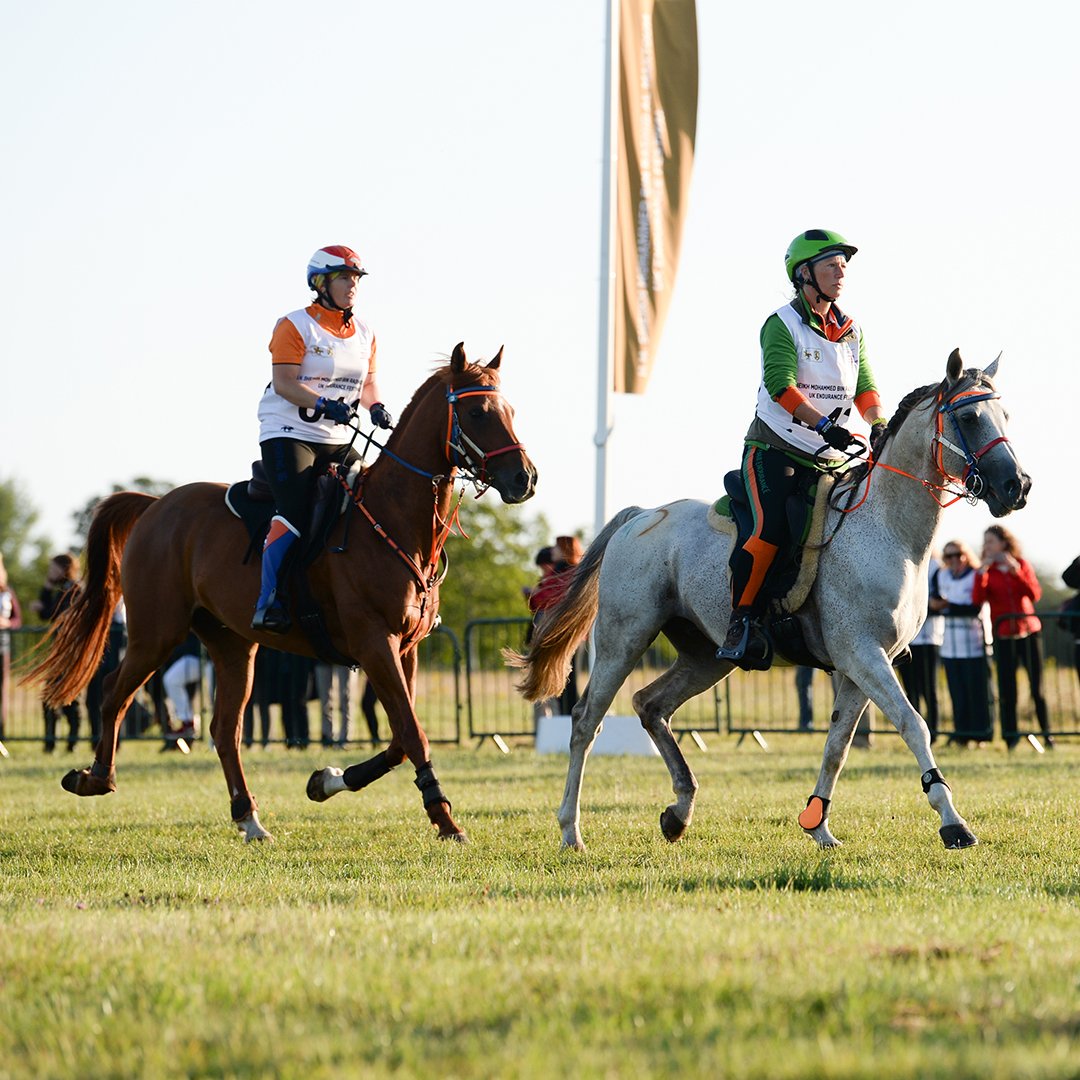 Live Tracking now available for the Meydan <a href="/FEI_Global/">The FEI</a> Endurance European Championships live.intisaar.com/map/