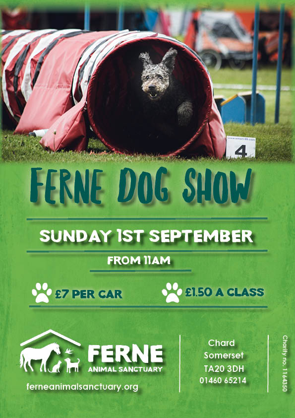 FerneAnimalSanc's tweet photo. Ferne’s Annual Fun #DogShow is back and this year we’ve got even more to celebrate as we come to our 25th anniversary @FerneAnimalSanc @somersetwhatson https://t.co/mJ5el8YCmu