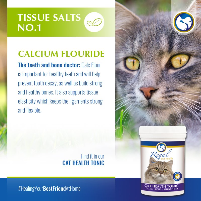 regalpethealth's tweet photo. #TissueSalt #CalciumFlouride #CatHealthTonic https://t.co/sAX0vzqbEe https://t.co/UcjJsXmemU
