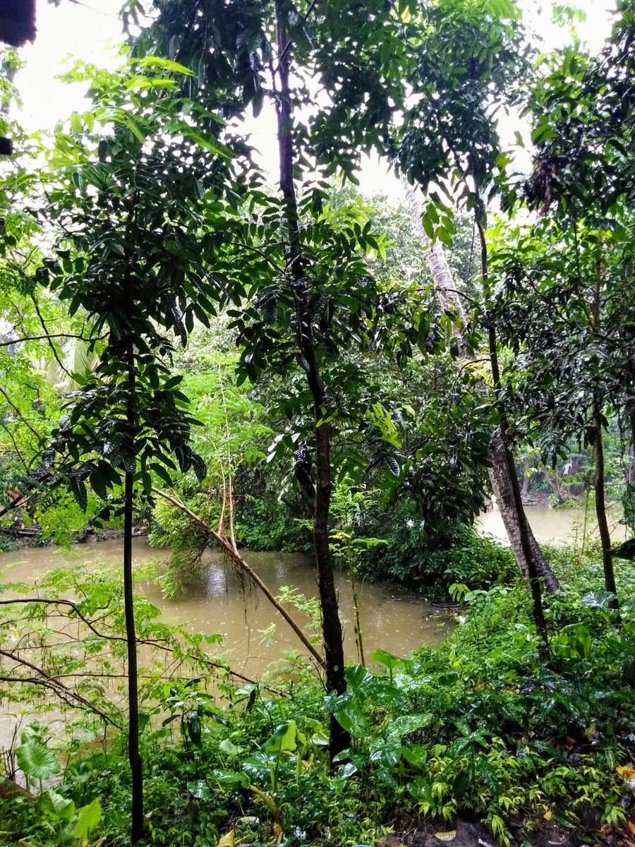 প্রবল বর্ষণ এ স্নাত আমাদের গ্রাম কুশবেড়িয়া